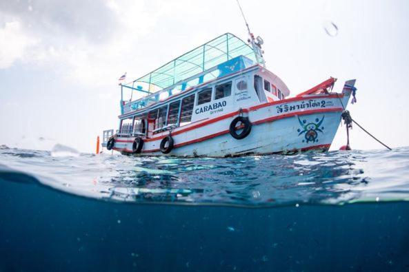 Carabao Diving Koh Tao Hotell Eksteriør bilde